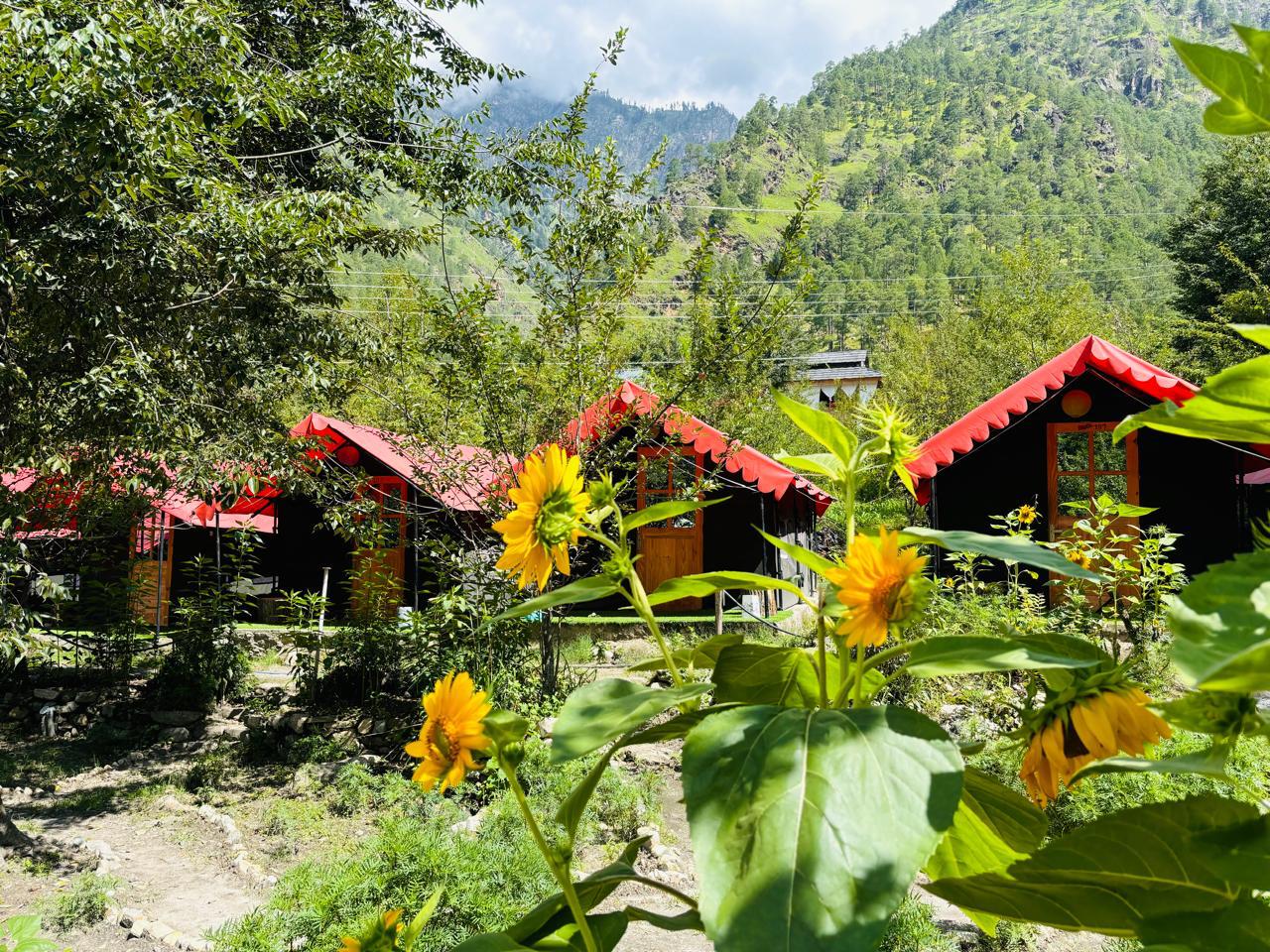 The River-Side Camp - 1